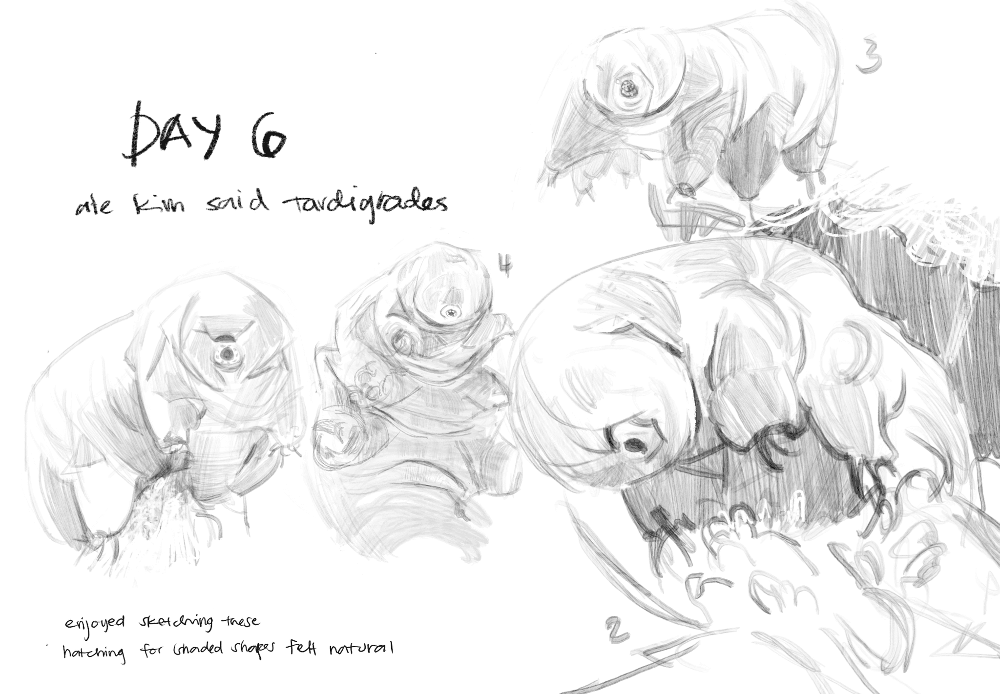 Drawing study — January 2024, by KJ Gallego
