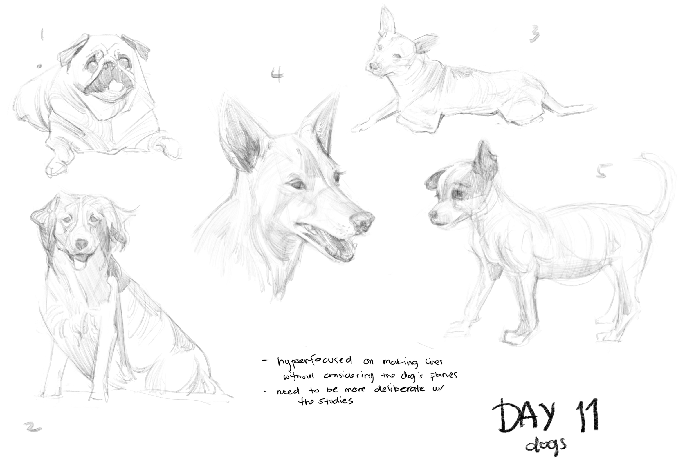 Drawing study — January 2024, by KJ Gallego