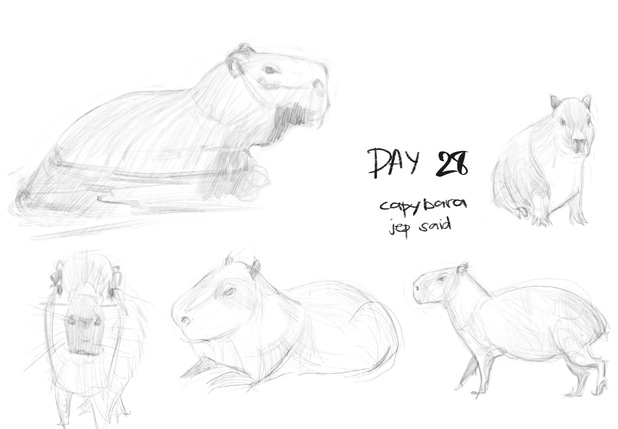 Drawing study — January 2024, by KJ Gallego