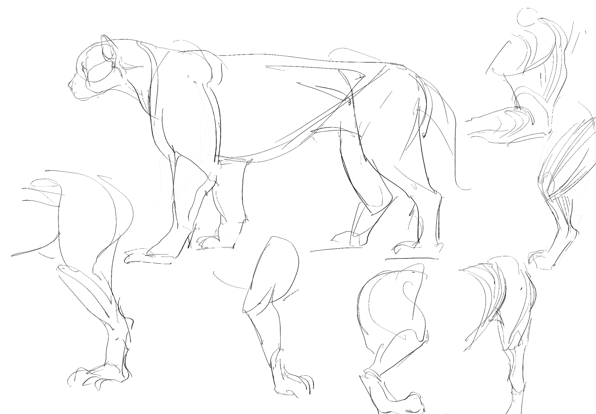 Drawing study no. 1 — March 2024, by KJ Gallego