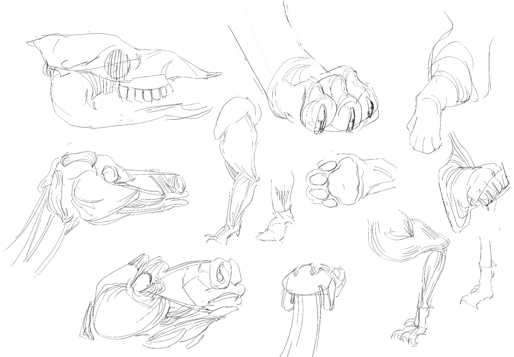 Drawing study no. 2 — March 2024, by KJ Gallego