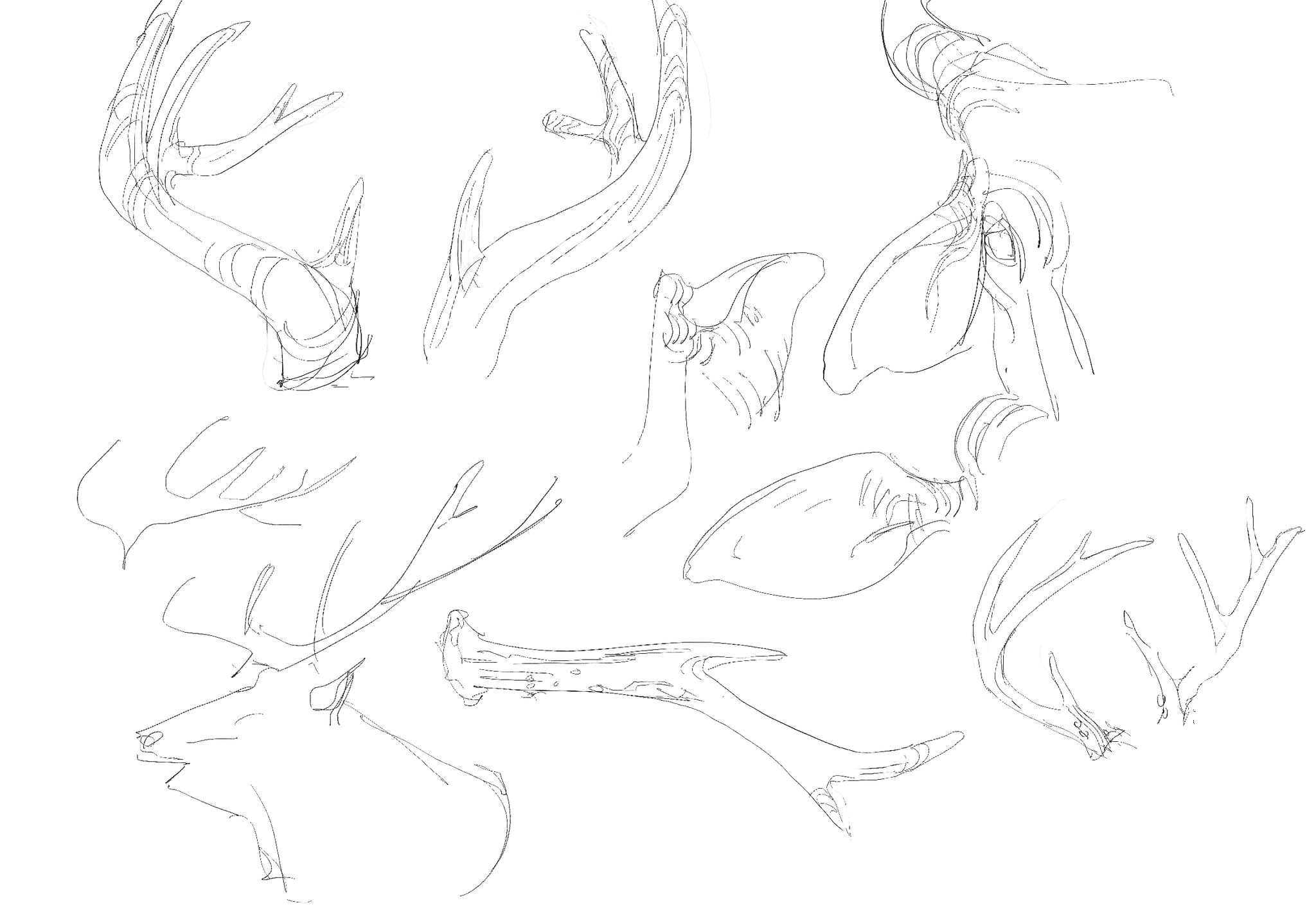 Drawing study no. 3 — March 2024, by KJ Gallego