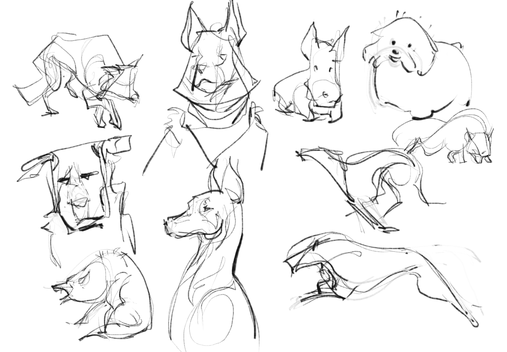 2025 01 07 2 study